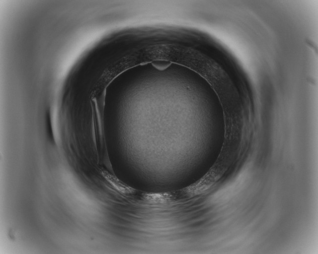 X0000098050239200804071515