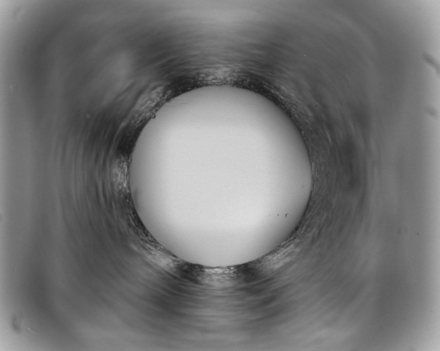 X0000098050240200804071515