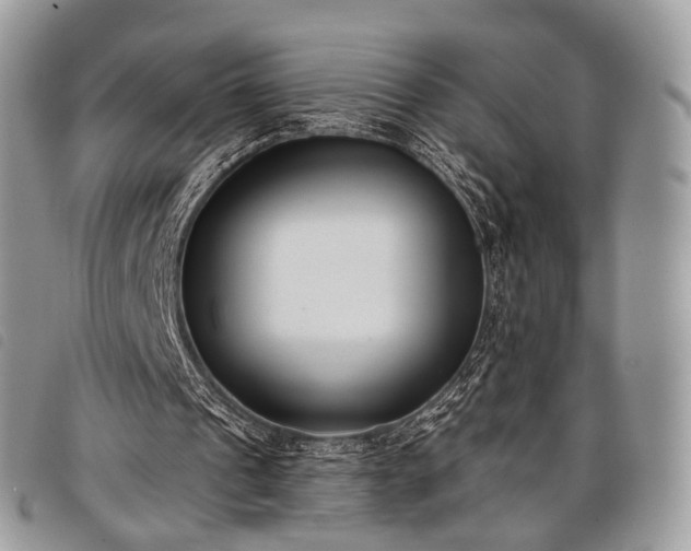 X0000098050241200804071515