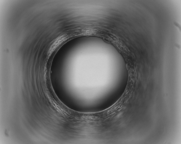 X0000098050242200804071515