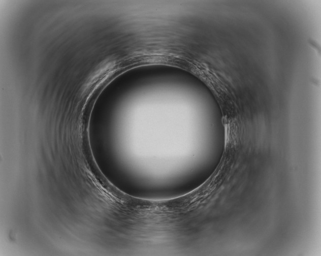 X0000098050243200804071515