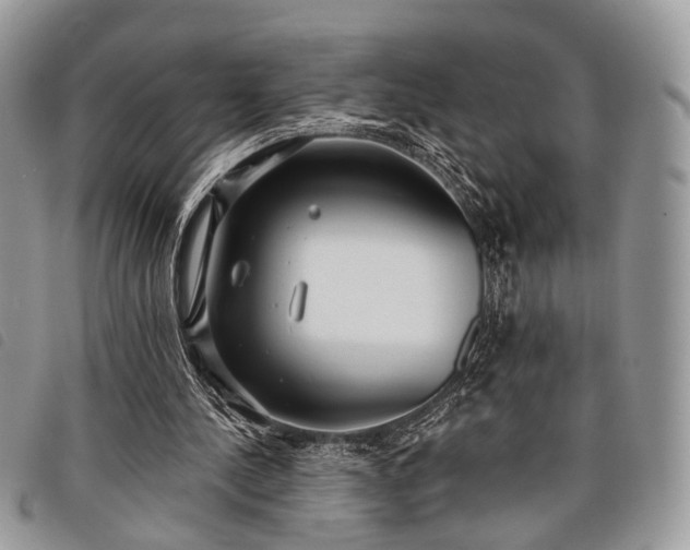 X0000098050244200804071515