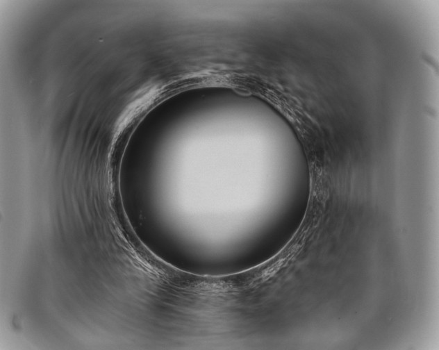 X0000098050245200804071515