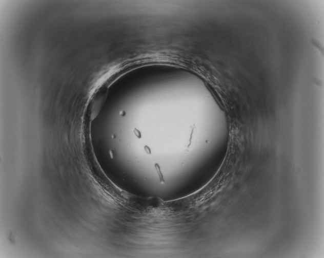 X0000098050248200804071515