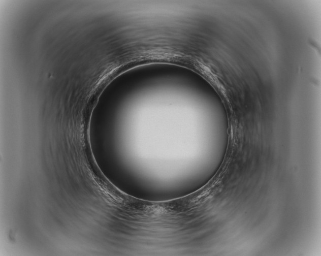 X0000098050249200804071515