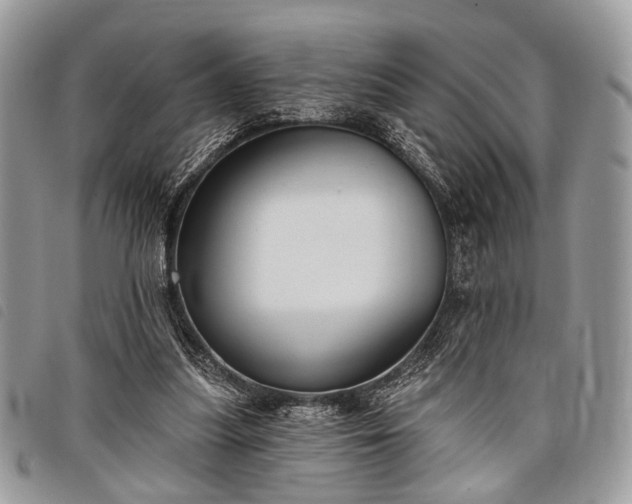 X0000098050251200804071515