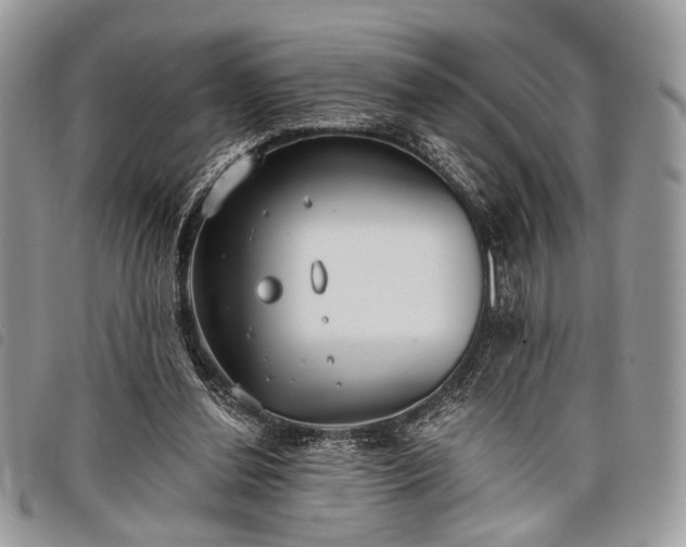 X0000098050252200804071515