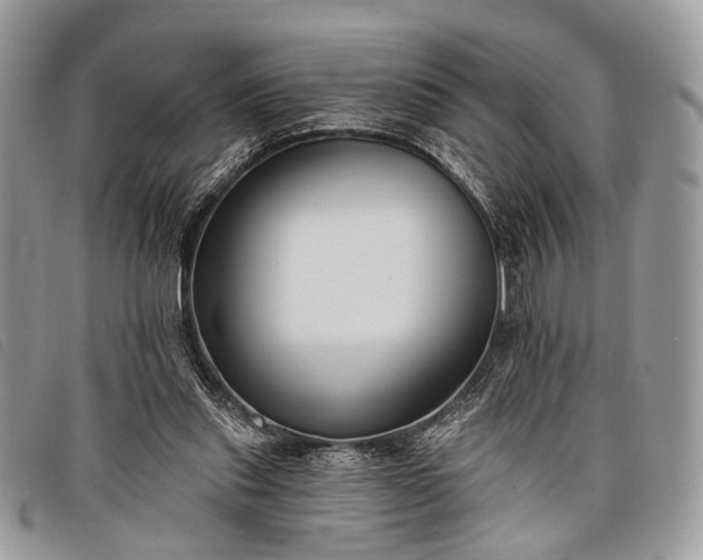 X0000098050253200804071515