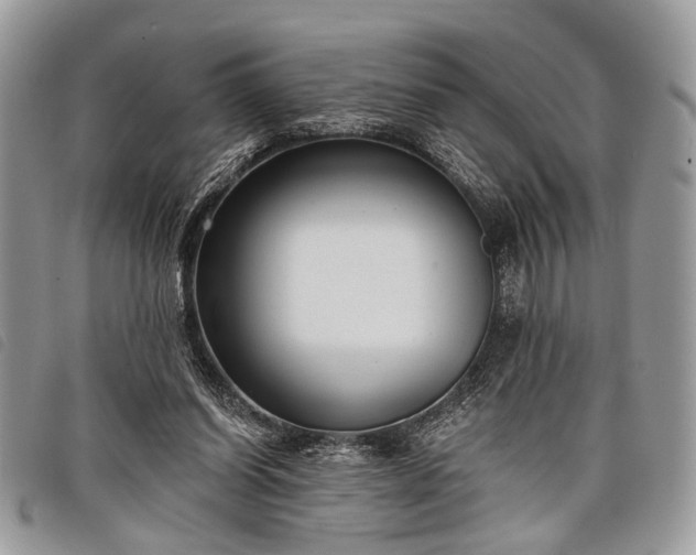 X0000098050254200804071515