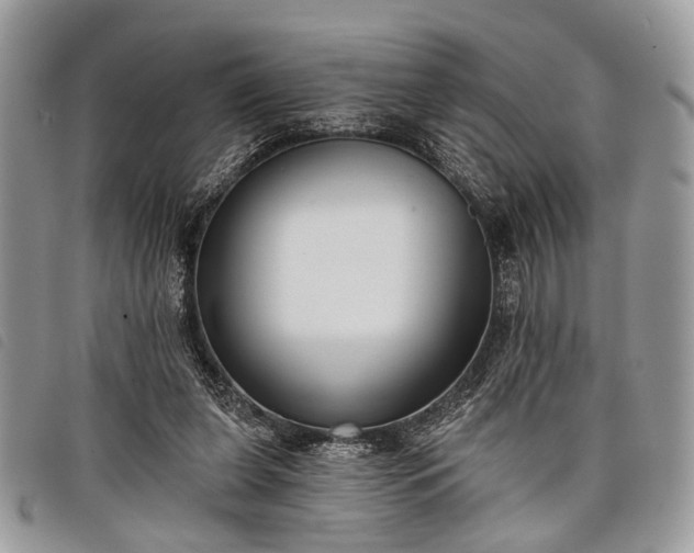 X0000098050255200804071515