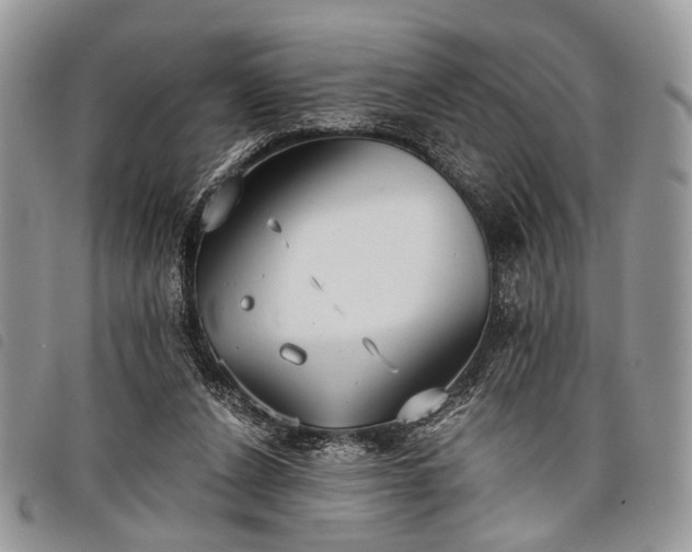 X0000098050256200804071515