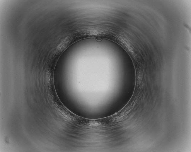 X0000098050257200804071515