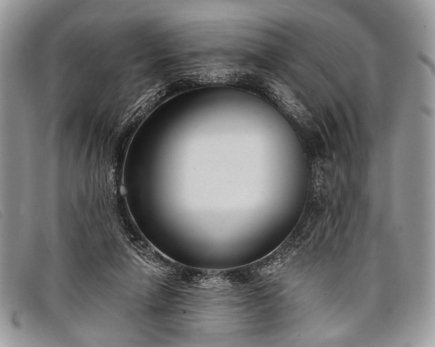 X0000098050258200804071515