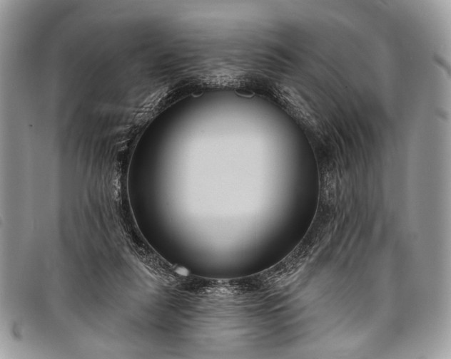 X0000098050259200804071515