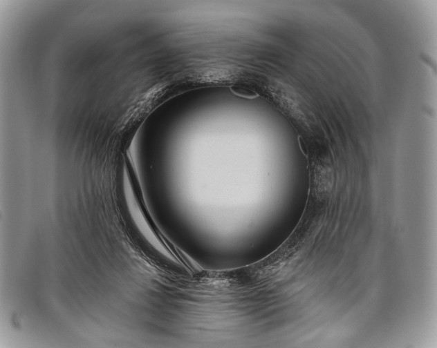 X0000098050260200804071515