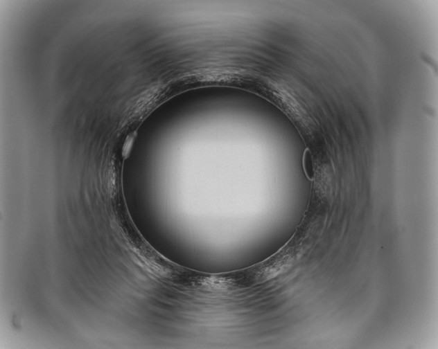 X0000098050261200804071515