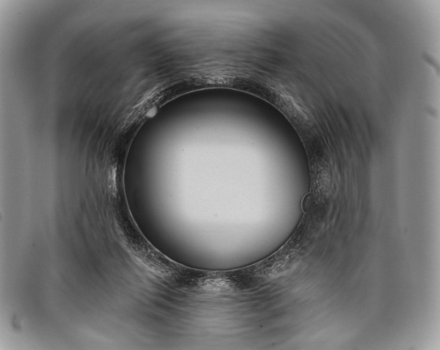 X0000098050262200804071515