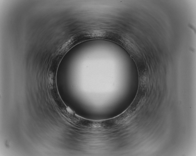 X0000098050264200804071515