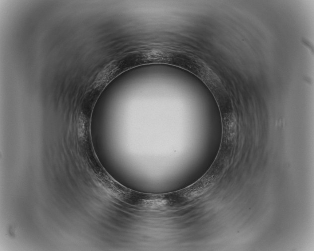 X0000098050266200804071515