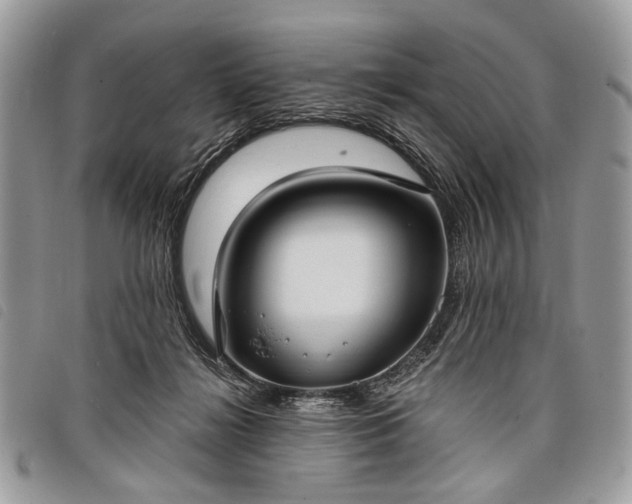 X0000098050268200804071515