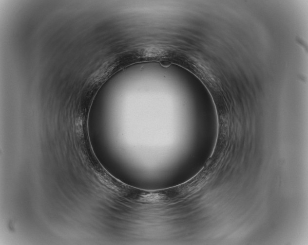 X0000098050269200804071515