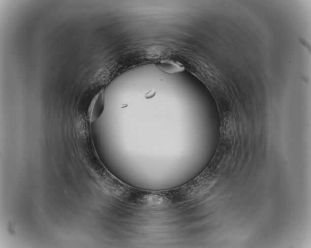 X0000098050272200804071515