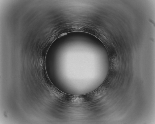 X0000098050274200804071515