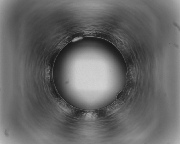 X0000098050275200804071515