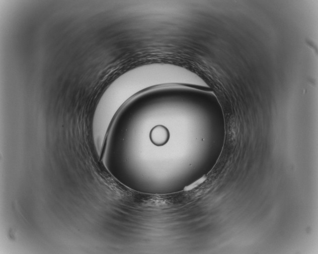 X0000098050276200804071515