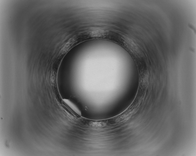 X0000098050277200804071515