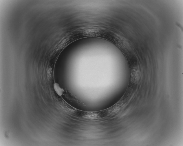 X0000098050278200804071515