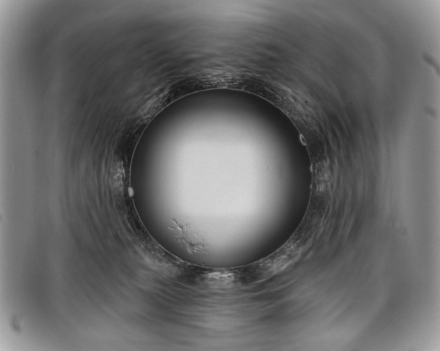 X0000098050279200804071515