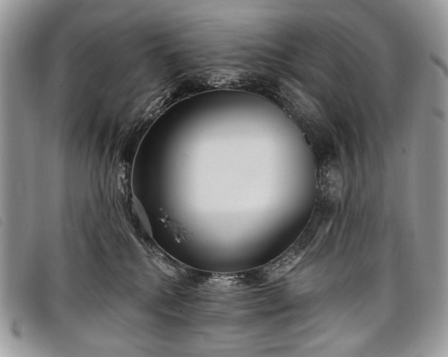 X0000098050280200804071515