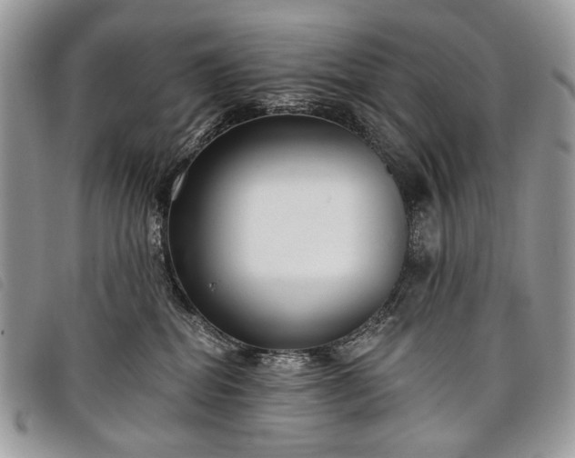 X0000098050282200804071515