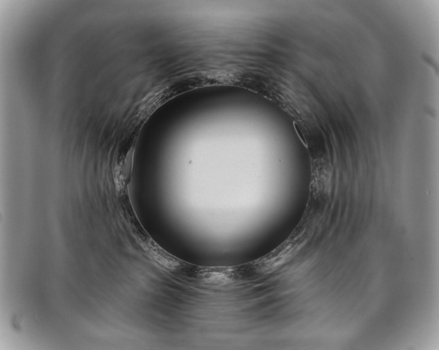 X0000098050285200804071515