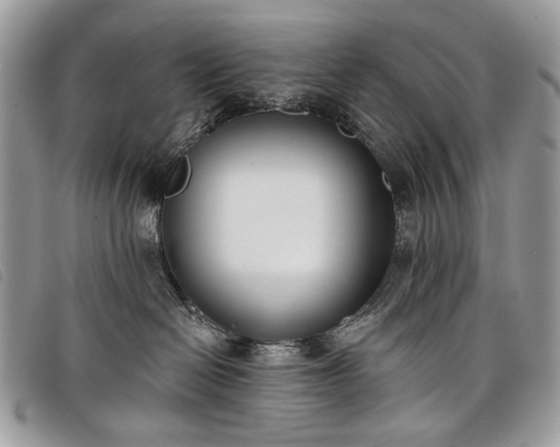 X0000098050286200804071515