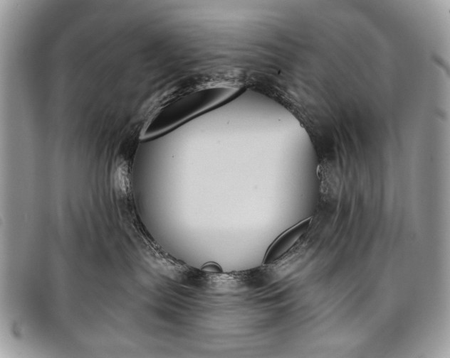 X0000098050287200804071515