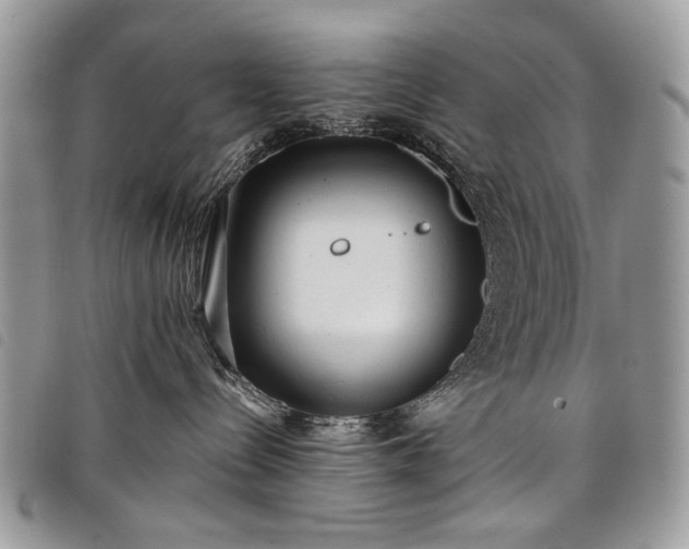 X0000098050288200804071515