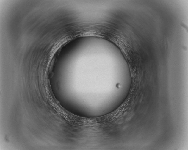 X0000098050289200804071515