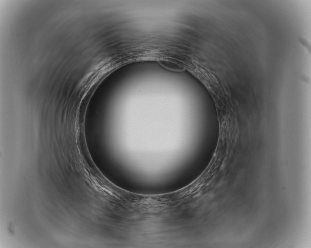 X0000098050290200804071515