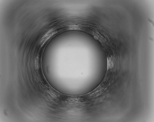 X0000098050291200804071515