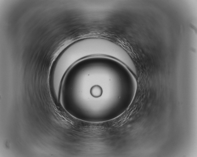 X0000098050292200804071515