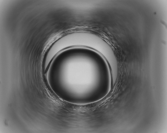 X0000098050293200804071515