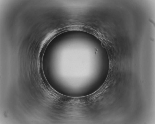 X0000098050294200804071515