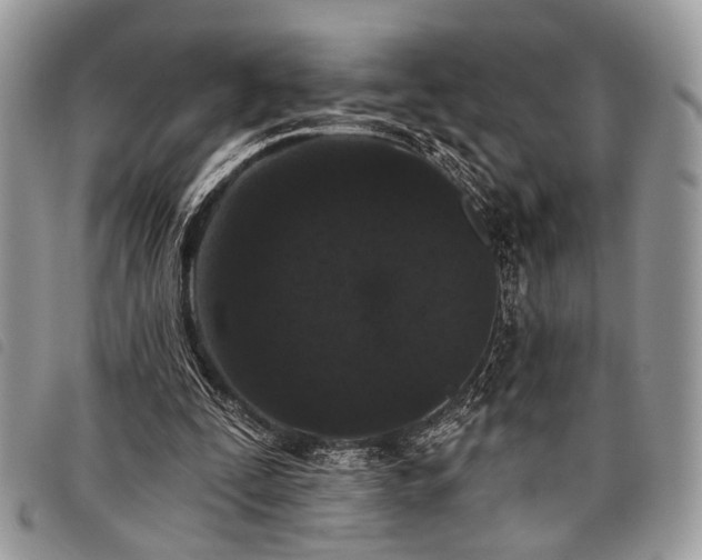 X0000098050295200804071515