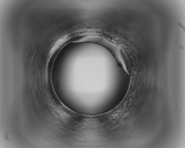 X0000098050296200804071515