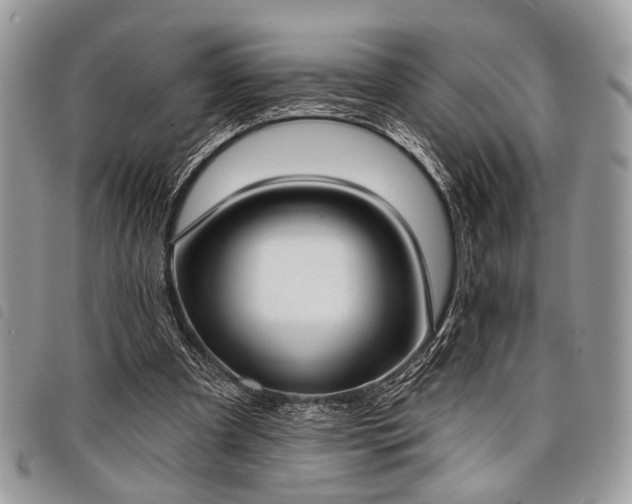 X0000098050297200804071515