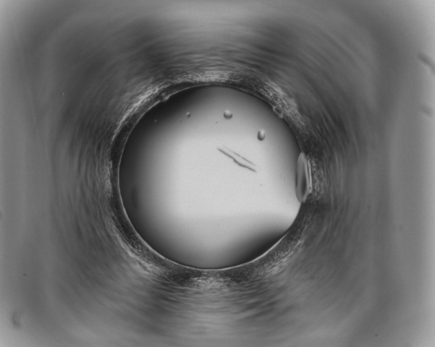 X0000098050300200804071514