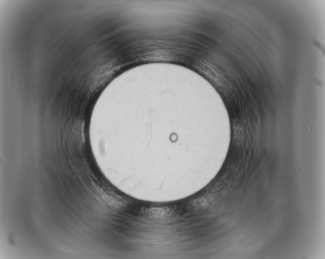 X0000098050302200804071514