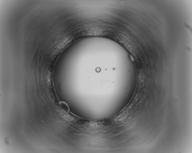 X0000098050305200804071514